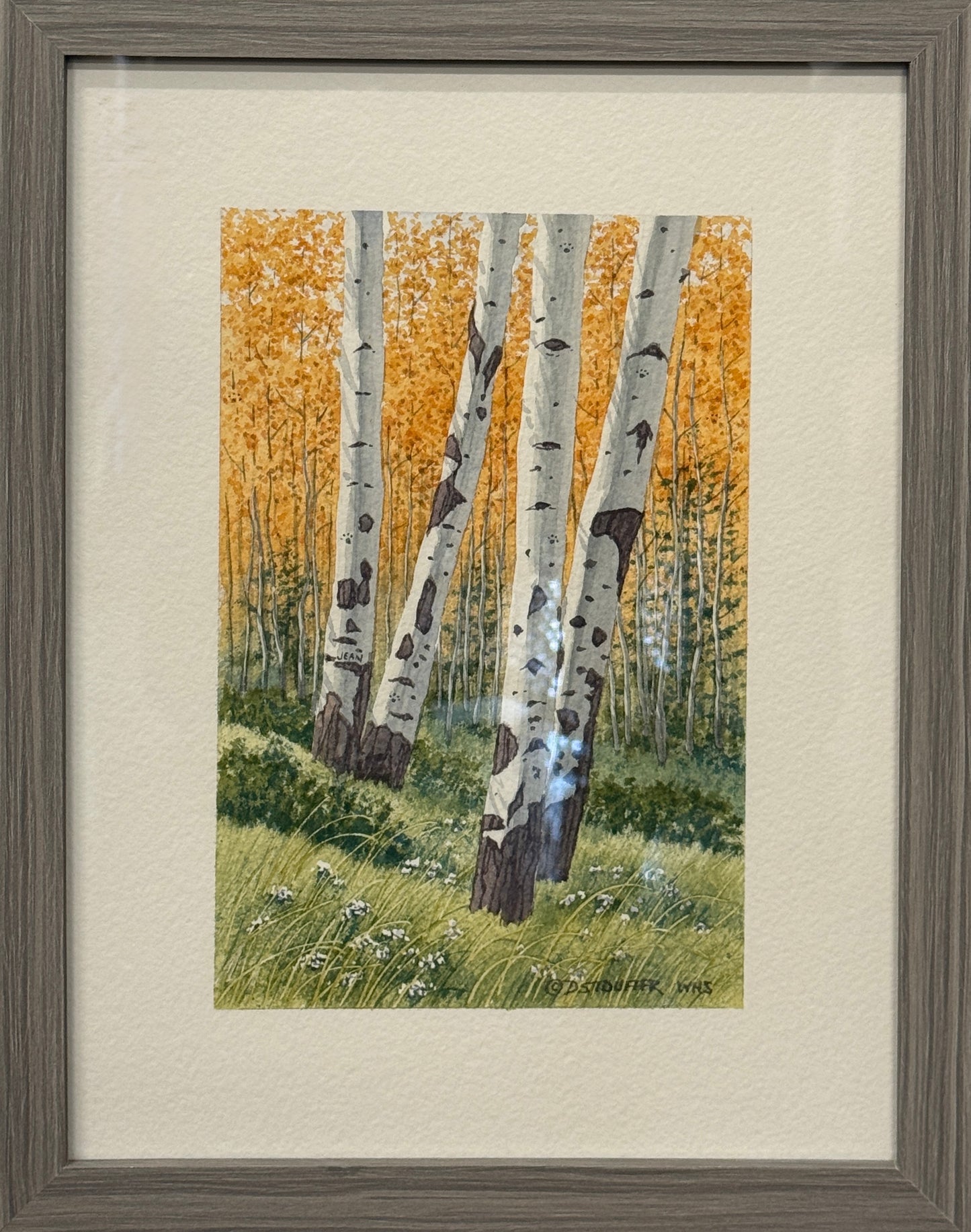 Aspen Near Chad & Martha's Place