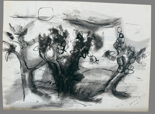 Untitled (Cactus, c. 1970s)
