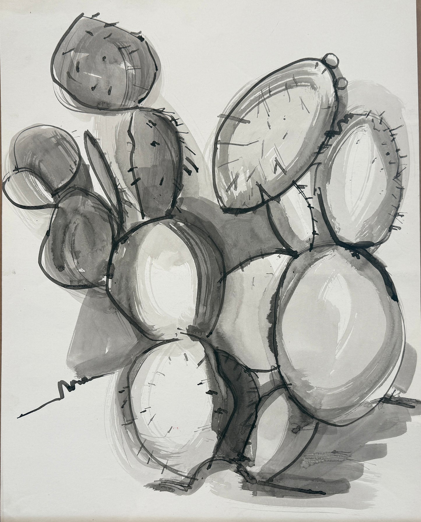 Untitled (Cactus, c 1970s)
