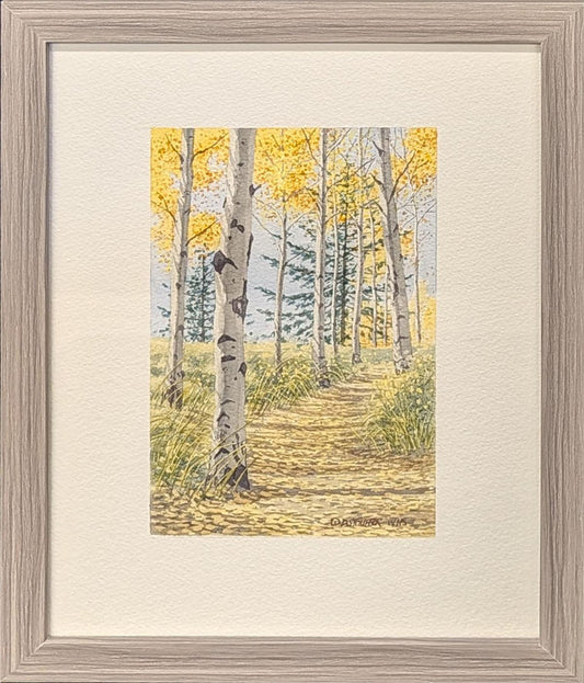 324 Sandia Crest Trail