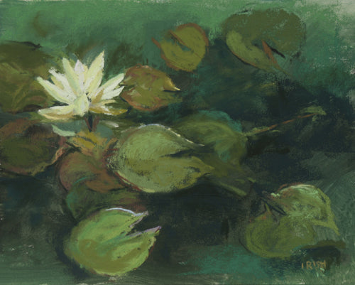 Water Lillies 81 - 8 x 10