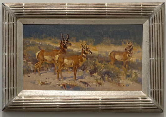 Sage Courtship