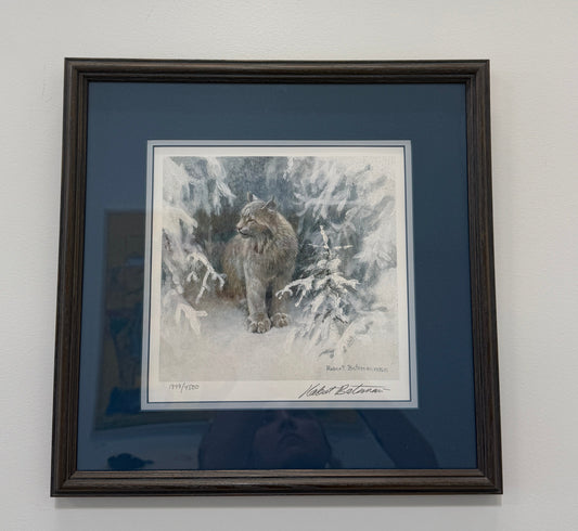 Lynx in Snow