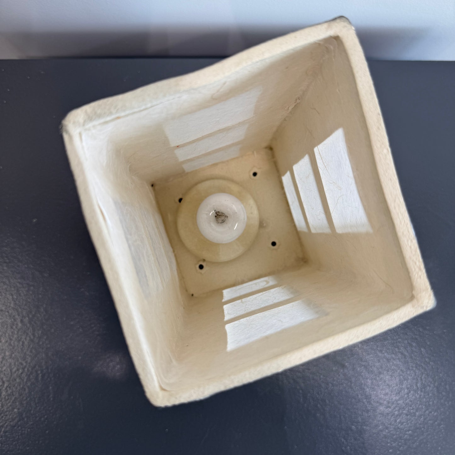 Dragonfly Lantern