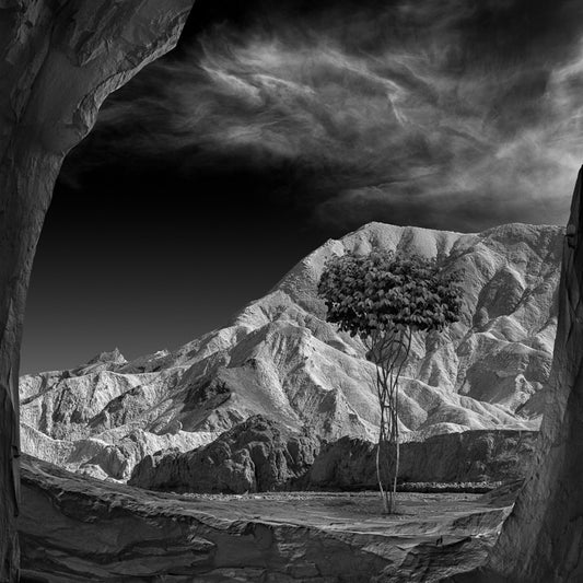 The Archway