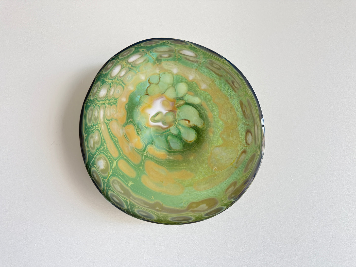 Wall Plate - Green Tortoise