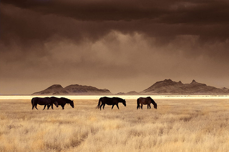 High Desert Nomads