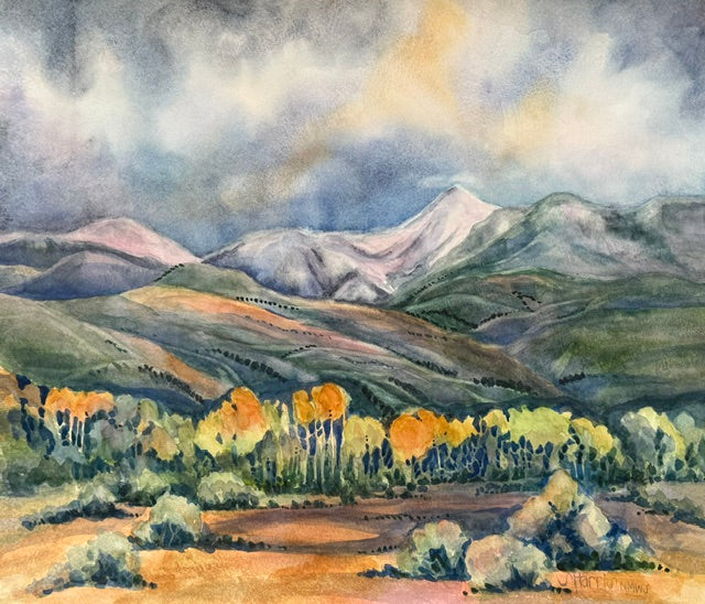 Taos Aspen