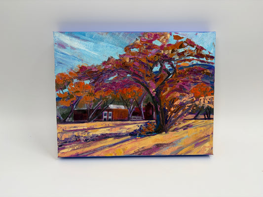 Adobe and Autumn Sun