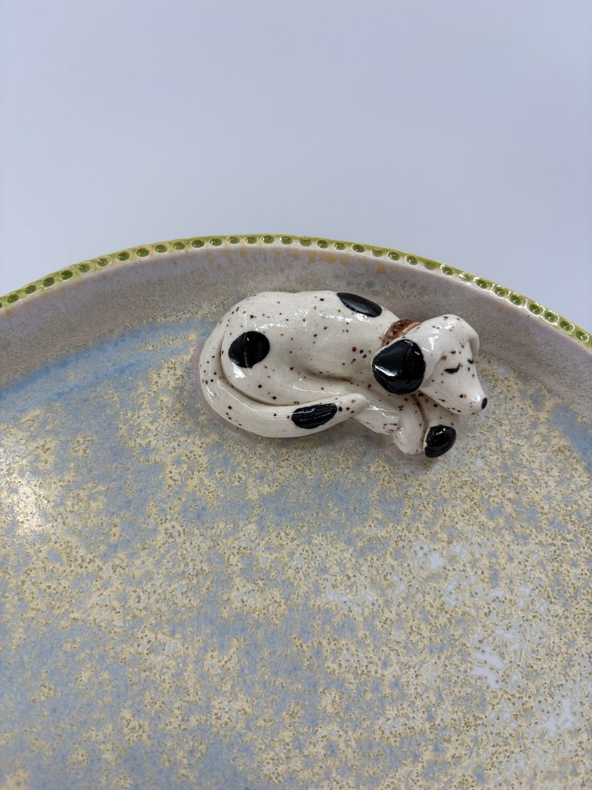 Sleep Dog Plate