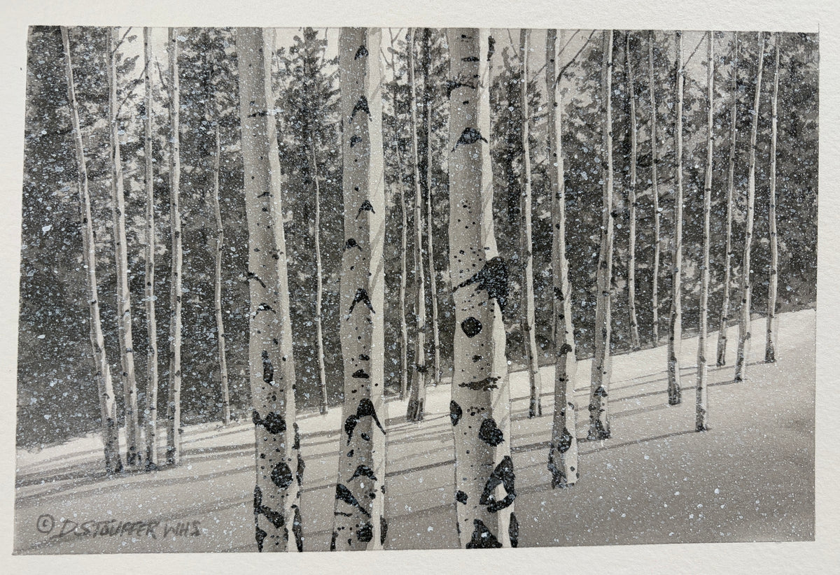 High Country Winter
