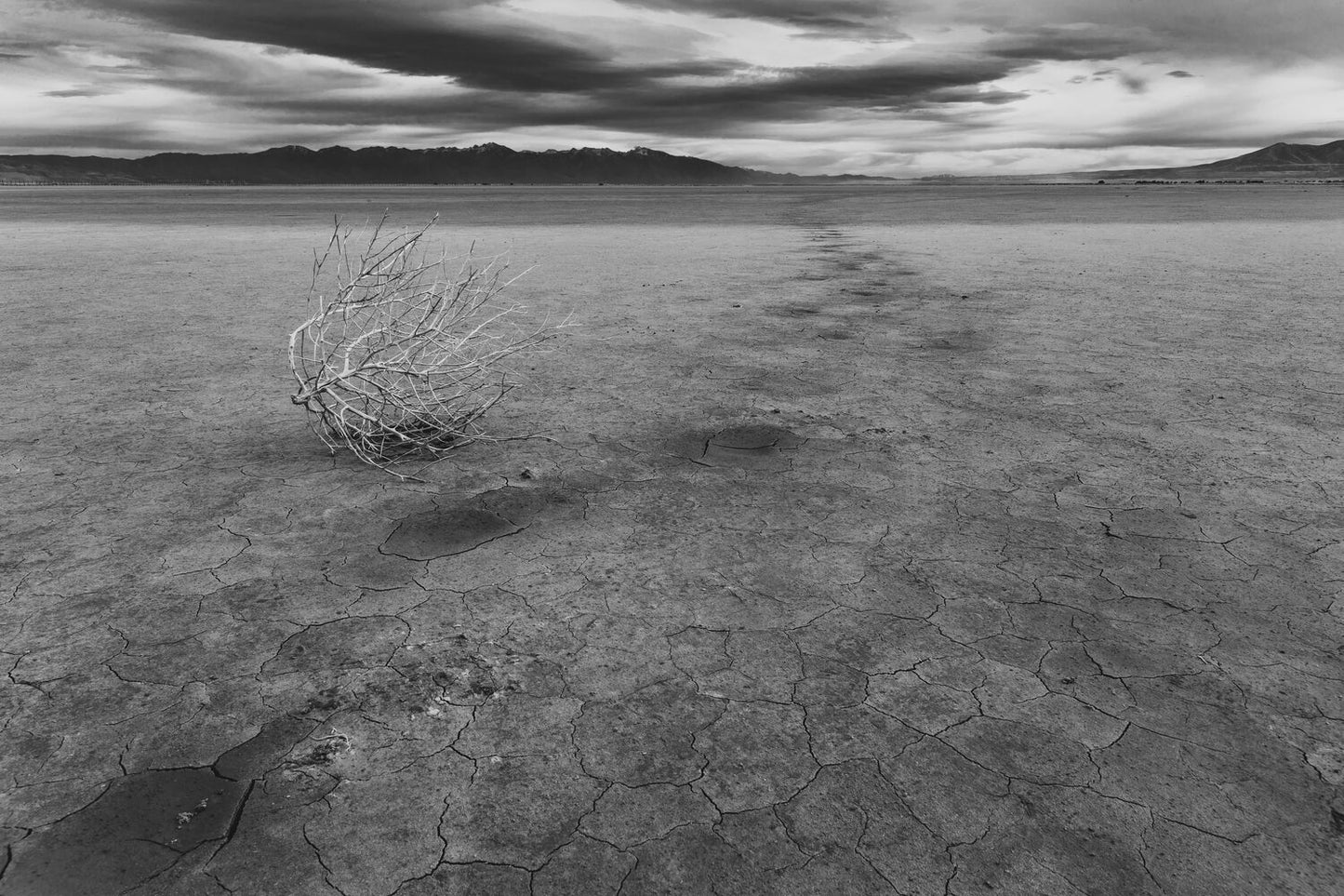 4191 Plateaus (Imminent Visions)