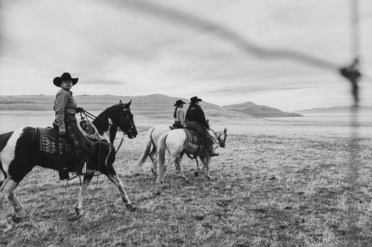 Way of Life (Partitioned Landscapes)