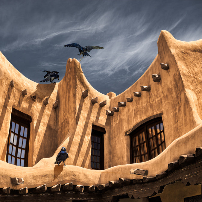 Ravens at the Museum