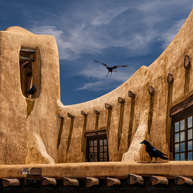 Ravens at the Museum 2