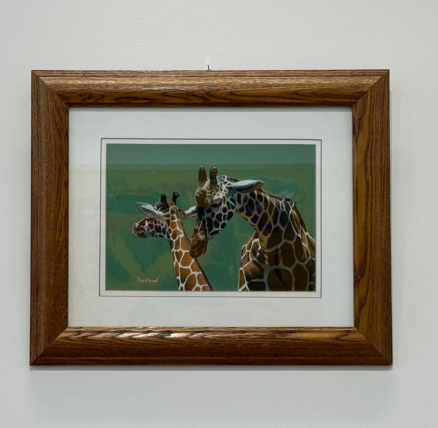 Giraffe
