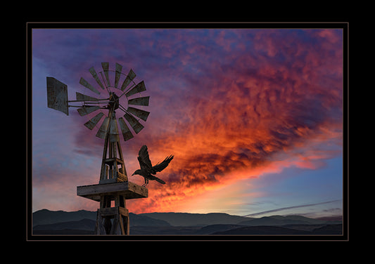 The Raven windmill 1248 sas