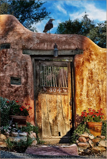 The Raven of Canyon Road