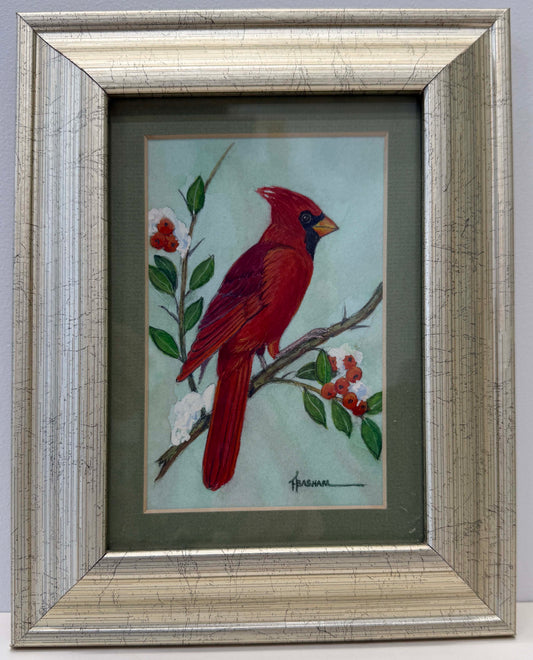 Nothern Cardinal