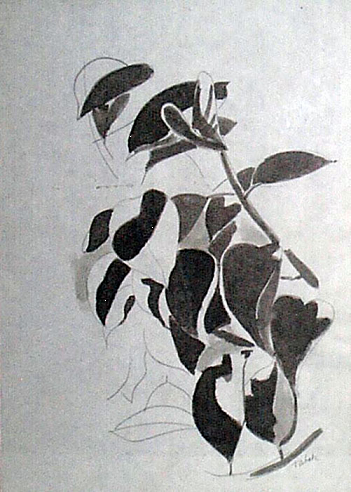 Untitled Black/White Leaves RIB-X004 - 25.63 x 19.25