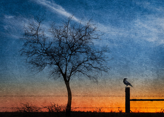 You're the Tree I want to be