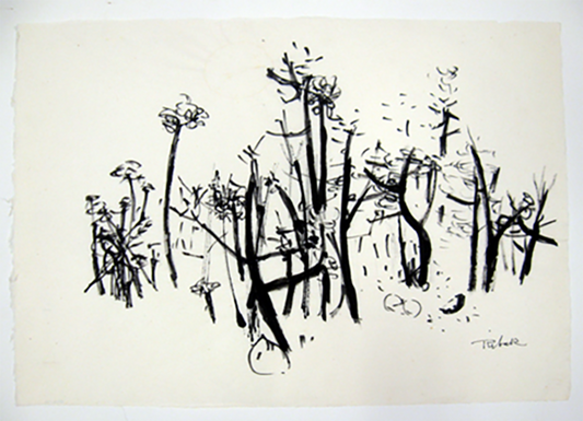 untitled (Horizontal Plants 2)