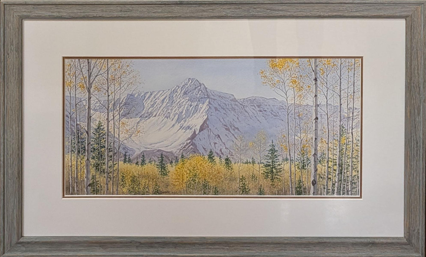 333 The San Juans - Near Telluride