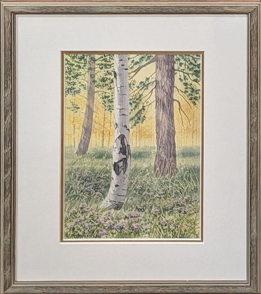 334 Along the Sandia Crest Trail