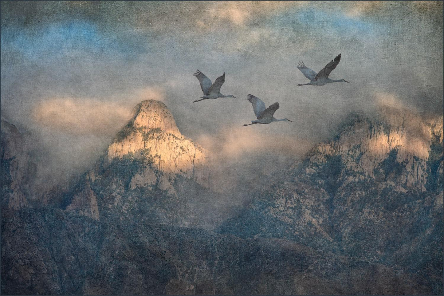 1295 Sandhill Cranes & Sandias