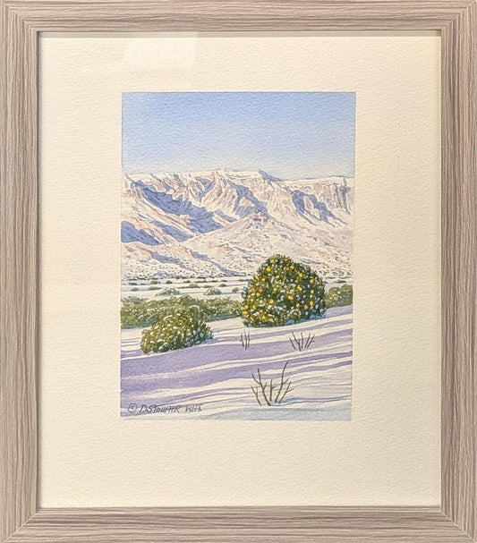 325 Christmas in Sandia Heights