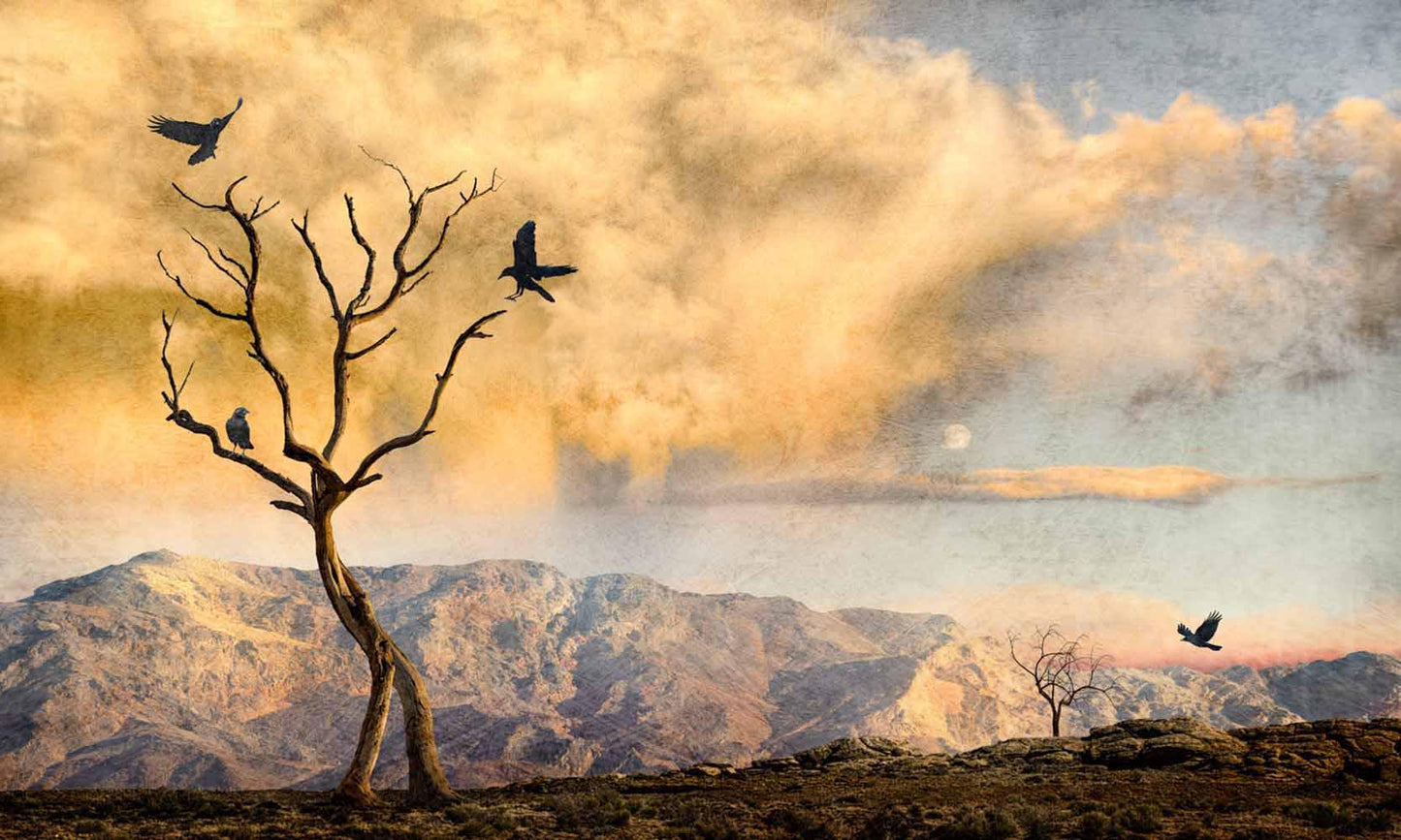 1285 Grace of the Ravens