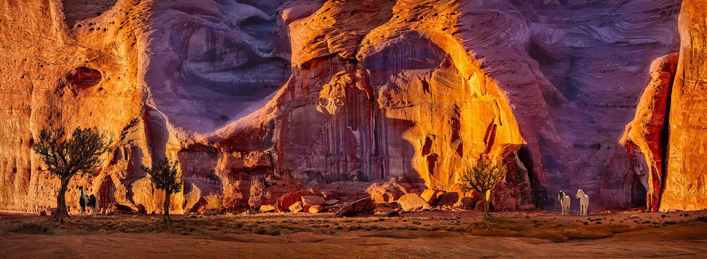 1284 A Lazy Afternoon in the Canyon