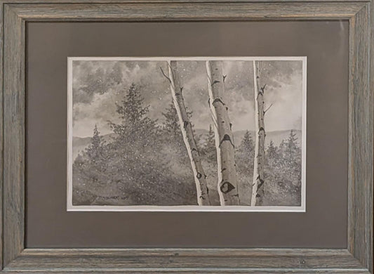 336 Approaching Storm