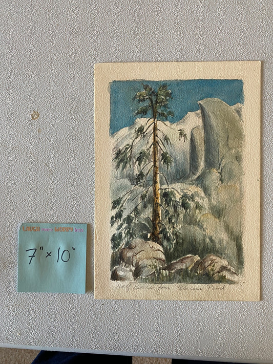 untitled-Dying Pine Item _320