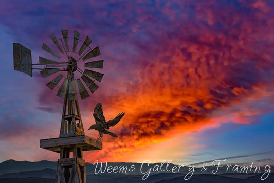 The Ravens Windmill 1234 Infused Aluminum Photography