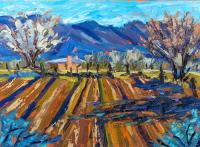 Cottonwood Shadows by Michelle Chrisman