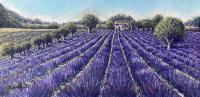 Purple Panorama by Edna Beauchemin