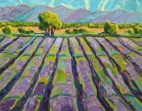 Lavender Field (& Sandias) by Michelle Chrisman