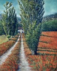Poppy Path by Edna Beauchemin