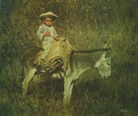 Boy on Burro by Clark Hulings