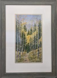 The Colorado Trail by Dan Stouffer