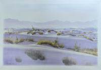 Desert Solitude by Dan Stouffer