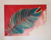 Feather by Elizabeth Potter