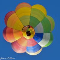 Balloon Solo #1 by Janet Haist