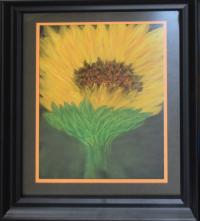 Sunflower by Sheila McVeigh